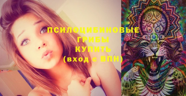 MDMA Premium VHQ Богородицк