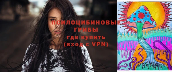 тгк Анжеро-Судженск